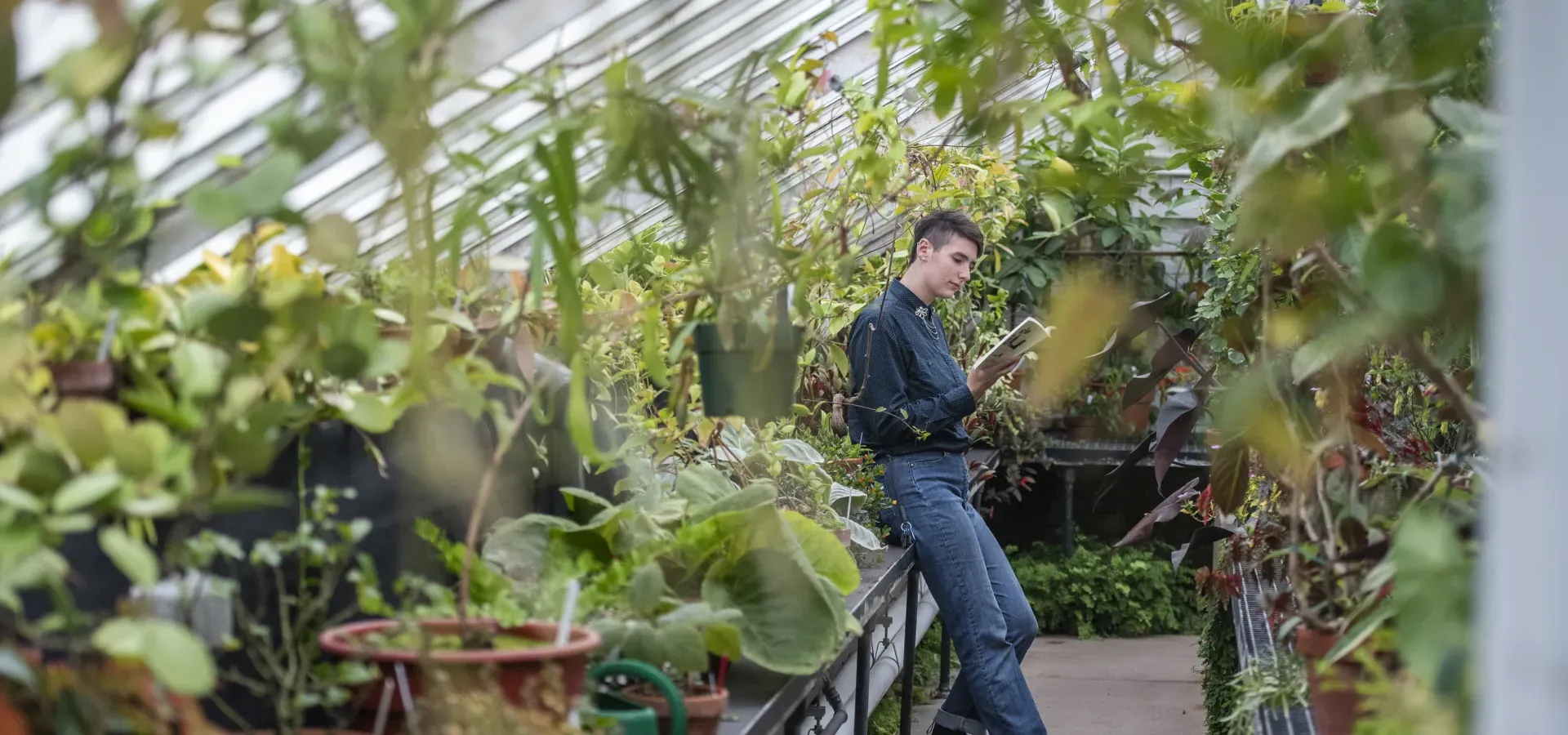 A student in the greenhouse, reading a book.